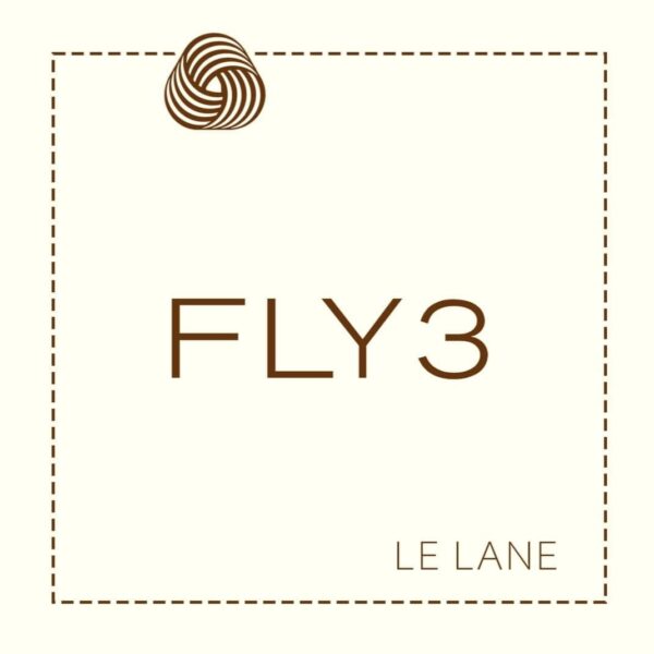 FLY3 Taupe Wool V Neck Sweater - Image 4