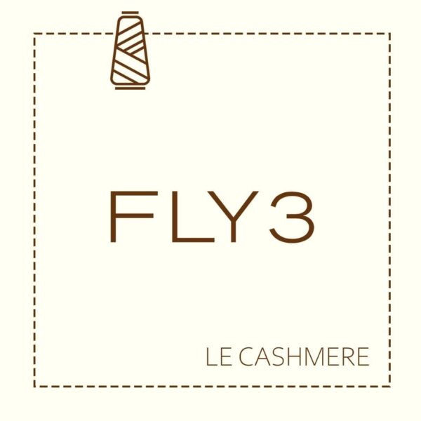 FLY3 Camel Pure Cashmere V Neck Sweater - Image 4